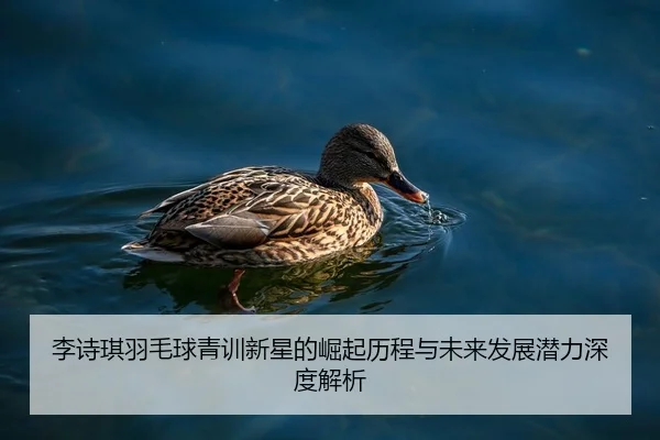李诗琪羽毛球青训新星的崛起历程与未来发展潜力深度解析